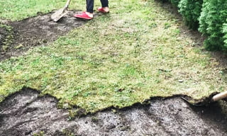 Снятие дерна старого газона в Биробиджане – от 517 руб. | 2Землекопа-Брб
